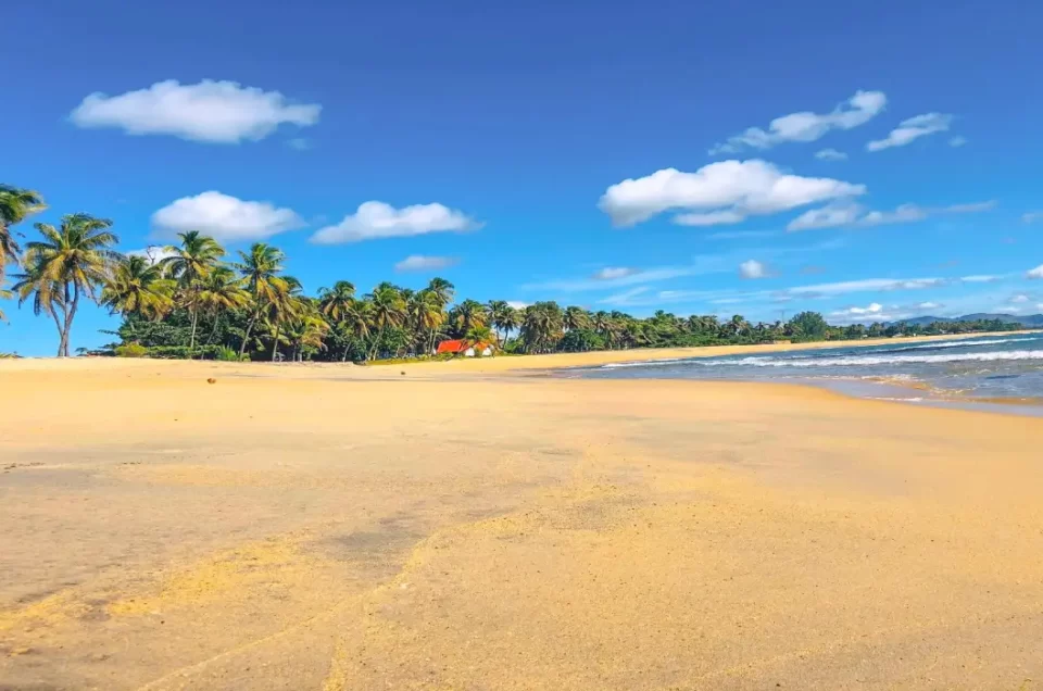 Turismo en Madagascar: 10 Razones para Visitar Esta Maravillosa Isla
